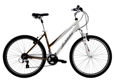 26"Alloy 6 speed city bikes